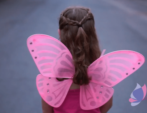 Paige’s Butterfly Run